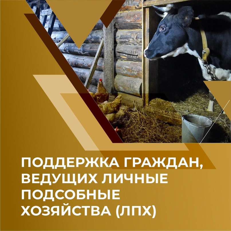 О проведении отбора по предоставлению из областного бюджета субсидии гражданам, ведущим личное подсобное хозяйство, на возмещение части затрат по производству молока, реализуемого заготовителям на территории Казанского сельского поселения.